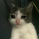 sed_ket