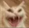 Catgobrr Discord Emoji