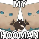MyHooman