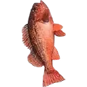 FishOnDaFlo
