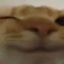 thec thec
