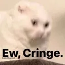 EwCringe