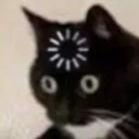 nekoload