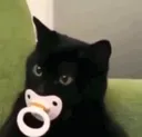 cat_de_chupeta