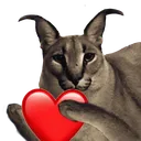 floppalove