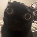 ohmygodplease