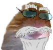 sHamOld