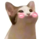 emoji_11
