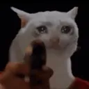 no