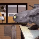 toothless_bonk