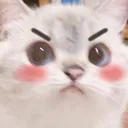 Poutcat Discord Emoji