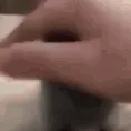 patcat patcat