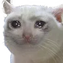 sosad sosad
