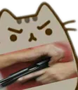 catgun