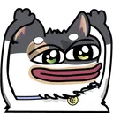 cz_cat_woot Discord Emoji