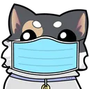 Cat Mask Discord Emoji