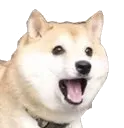 doggers Discord Emoji