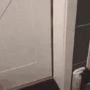 cat_door_open