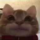 oatmeal
