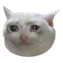 saddokitto Discord Emoji