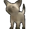 CatBounce