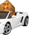 lambrughini2