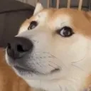 skillissue