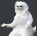 Wtf_bro