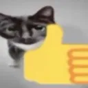 catthumbsup catthumbsup