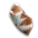No_Talk_Me_Angy