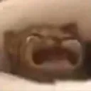 waaa