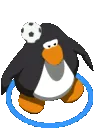 penguinsoccer