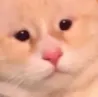 pain