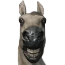 HorseSmile
