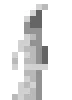 entity_patsas
