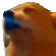 DOGJAM DOGJAM