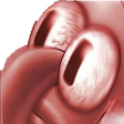 SquidwardWoke Discord emoji