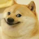 av_doge