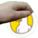 PetPetDuck