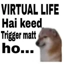 virtual_life
