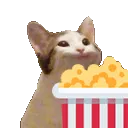 popcorncat