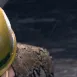 majimabonk majimabonk
