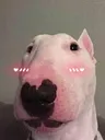 walterblush