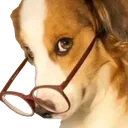 doggosus