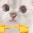 Uwucat UwUCat Discord Emoji