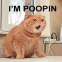 Im_poopin