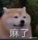 DogeLame