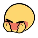 blushshy