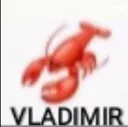 vladmir