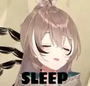 SLEEP
